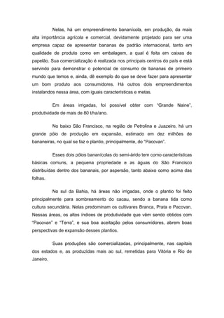 Nelas, há um empreendimento bananícola, em produção, da mais
alta importância agrícola e comercial, devidamente projetado para ser uma
empresa capaz de apresentar bananas de padrão internacional, tanto em
qualidade de produto como em embalagem, a qual é feita em caixas de
papelão. Sua comercialização é realizada nos principais centros do país e está
servindo para demonstrar o potencial de consumo de bananas de primeiro
mundo que temos e, ainda, dê exemplo do que se deve fazer para apresentar
um bom produto aos consumidores. Há outros dois empreendimentos
instalandos nessa área, com iguais características e metas.
Em áreas irrigadas, foi possível obter com “Grande Naine”,
produtividade de mais de 80 t/ha/ano.
No baixo São Francisco, na região de Petrolina e Juazeiro, há um
grande pólo de produção em expansão, estimado em dez milhões de
bananeiras, no qual se faz o plantio, principalmente, do “Pacovan”.
Esses dois pólos bananícolas do semi-árido tem como características
básicas comuns, a pequena propriedade e as águas do São Francisco
distribuídas dentro dos bananais, por aspersão, tanto abaixo como acima das
folhas.
No sul da Bahia, há áreas não irrigadas, onde o plantio foi feito
principalmente para sombreamento do cacau, sendo a banana tida como
cultura secundária. Nelas predominam os cultivares Branca, Prata e Pacovan.
Nessas áreas, os altos índices de produtividade que vêm sendo obtidos com
“Pacovan” e “Terra”, e sua boa aceitação pelos consumidores, abrem boas
perspectivas de expansão desses plantios.
Suas produções são comercializadas, principalmente, nas capitais
dos estados e, as produzidas mais ao sul, remetidas para Vitória e Rio de
Janeiro.
 