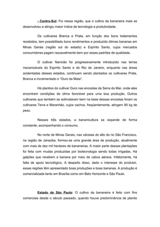- Centro-Sul: Foi nessa região, que o cultivo da bananeira mais se
desenvolveu e atingiu maior índice de tecnologia e produtividade.
Os cultivares Branca e Prata, em função dos bons tratamentos
recebidos, tem possibilitado bons rendimentos e produzido ótimas bananas em
Minas Gerais (região sul do estado) e Espírito Santo, cujos mercados
consumidores pagam razoavelmente bem por esses padrões de qualidade.
O cultivar Nanicão foi progressivamente introduzido nas terras
mecanizáveis do Espírito Santo e do Rio de Janeiro, enquanto nas áreas
acidentadas desses estados, continuam sendo plantados os cultivares Prata,
Branca e incrementado o “Ouro da Mata”.
Há plantios do cultivar Ouro nas encostas da Serra do Mar, onde eles
encontram condições de clima favorável para uma boa produção. Outros
cultivares que também se aclimataram bem na base dessas encostas foram os
cultivares Terra e Maranhão, cujos cachos, freqüentemente, atingem 80 kg de
peso.
Nesses três estados, a bananicultura se expande de forma
constante, acompanhando o consumo.
No norte de Minas Gerais, nas várzeas do alto do rio São Francisco,
na região de Janaúba, formou-se uma grande área de produção, atualmente
com mais de dez mil hectares de bananeiras. A maior parte dessas plantações
foi feita com mudas produzidas por biotecnologia sendo todas irrigadas. Há
galpões que recebem a banana por meio de cabos aéreos. Infelizmente, há
falta de apoio tecnológico. A despeito disso, dado o interesse do produtor,
essas regiões têm apresentado boas produções e boas bananas. A produção é
comercializada tanto em Brasília como em Belo Horizonte e São Paulo.
Estado de São Paulo: O cultivo da bananeira é feito com fins
comerciais desde o século passado, quando houve predominância de plantio
 