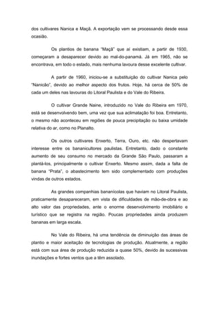 dos cultivares Nanica e Maçã. A exportação vem se processando desde essa
ocasião.
Os plantios de banana “Maçã” que aí existiam, a partir de 1930,
começaram a desaparecer devido ao mal-do-panamá. Já em 1965, não se
encontrava, em todo o estado, mais nenhuma lavoura desse excelente cultivar.
A partir de 1960, iniciou-se a substituição do cultivar Nanica pelo
“Nanicão”, devido ao melhor aspecto dos frutos. Hoje, há cerca de 50% de
cada um deles nas lavouras do Litoral Paulista e do Vale do Ribeira.
O cultivar Grande Naine, introduzido no Vale do Ribeira em 1970,
está se desenvolvendo bem, uma vez que sua aclimatação foi boa. Entretanto,
o mesmo não aconteceu em regiões de pouca precipitação ou baixa umidade
relativa do ar, como no Planalto.
Os outros cultivares Enxerto, Terra, Ouro, etc. não despertavam
interesse entre os bananicultores paulistas. Entretanto, dado o constante
aumento de seu consumo no mercado da Grande São Paulo, passaram a
plantá-los, principalmente o cultivar Enxerto. Mesmo assim, dada a falta de
banana “Prata”, o abastecimento tem sido complementado com produções
vindas de outros estados.
As grandes companhias bananícolas que haviam no Litoral Paulista,
praticamente desapareceram, em vista de dificuldades de mão-de-obra e ao
alto valor das propriedades, ante o enorme desenvolvimento imobiliário e
turístico que se registra na região. Poucas propriedades ainda produzem
bananas em larga escala.
No Vale do Ribeira, há uma tendência de diminuição das áreas de
plantio e maior aceitação de tecnologias de produção. Atualmente, a região
está com sua área de produção reduzida a quase 50%, devido às sucessivas
inundações e fortes ventos que a têm assolado.
 
