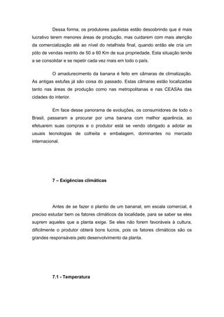 Dessa forma, os produtores paulistas estão descobrindo que é mais
lucrativo terem menores áreas de produção, mas cuidarem com mais atenção
da comercialização até ao nível do retalhista final, quando então ele cria um
pólo de vendas restrito de 50 a 60 Km de sua propriedade. Esta situação tende
a se consolidar e se repetir cada vez mais em todo o país.
O amadurecimento da banana é feito em câmaras de climatização.
As antigas estufas já são coisa do passado. Estas câmaras estão localizadas
tanto nas áreas de produção como nas metropolitanas e nas CEASAs das
cidades do interior.
Em face desse panorama de evoluções, os consumidores de todo o
Brasil, passaram a procurar por uma banana com melhor aparência, ao
efetuarem suas compras e o produtor está se vendo obrigado a adotar as
usuais tecnologias de colheita e embalagem, dominantes no mercado
internacional.
7 – Exigências climáticas
Antes de se fazer o plantio de um bananal, em escala comercial, é
preciso estudar bem os fatores climáticos da localidade, para se saber se eles
suprem aqueles que a planta exige. Se eles não forem favoráveis à cultura,
dificilmente o produtor obterá bons lucros, pois os fatores climáticos são os
grandes responsáveis pelo desenvolvimento da planta.
7.1 - Temperatura
 