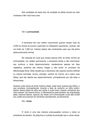 Sob condições de baixo teor de umidade as folhas tornam-se mais
coriáceas e têm vida mais curta.
7.4 – Luminosidade
A bananeira tem seu melhor crescimento quando recebe mais de
2.000 lux (horas de luz/ano queimada no heliógrafo) suportando, contudo, até
um limite de 1.000 lux. Valores abaixo são insuficientes para que ela tenha
desenvolvimento normal.
Se cultivada em local que receba apenas 30% do limite mínimo de
luminosidade, em caráter permanente, a bananeira tende a não interromper
seu contínuo e lento desenvolvimento, mantendo-se apenas em fase
vegetativa, podendo até mesmo chegar a não entrar no processo da
diferenciação floral. Disto resulta que a bananeira não suporta sombra artificial
ou natural (cerração, bruma, poluição, sombra de morros, etc.) sobre suas
folhas, pois ela retarda seu desenvolvimento, principalmente por não fazer a
fotossíntese.
Quando muito acima do limite máximo citado, pode haver queima das folhas, o
que acontece, principalmente, durante a fase de cartucho ou folha recém-
aberta. Nessa idade da folha seu tecido é muito tenro, ficando vulnerável aos
raios solares. Da mesma forma, a inflorescência pode também ser prejudicada
pelos mesmos fatores. Apenas nas áreas com luminosidade muito alta (4.000
lux), poder-se-ia pensar em sombrear parcialmente, as bananeiras.
7.5 – Vento
O vento é uma das maiores preocupações comuns a todos os
produtores de banana. Os prejuízos e a perda da produção que o vento causa,
 