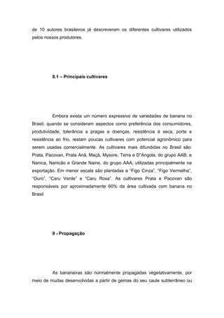 de 10 autores brasileiros já descreveram os diferentes cultivares utilizados
pelos nossos produtores.
8.1 – Principais cultivares
Embora exista um número expressivo de variedades de banana no
Brasil, quando se consideram aspectos como preferência dos consumidores,
produtividade, tolerância a pragas e doenças, resistência à seca, porte e
resistência ao frio, restam poucas cultivares com potencial agronômico para
serem usadas comercialmente. As cultivares mais difundidas no Brasil são:
Prata, Pacovan, Prata Anã, Maçã, Mysore, Terra e D”Angola, do grupo AAB, e
Nanica, Nanicão e Grande Naine, do grupo AAA, utilizadas principalmente na
exportação. Em menor escala são plantadas a “Figo Cinza”, “Figo Vermelha”,
“Ouro”, “Caru Verde” e “Caru Roxa”. As cultivares Prata e Pacovan são
responsáveis por aproximadamente 60% da área cultivada com banana no
Brasil
9 - Propagação
As bananeiras são normalmente propagadas vegetativamente, por
meio de mudas desenvolvidas a partir de gemas do seu caule subterrâneo ou
 