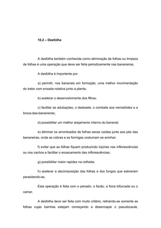 10.2 – Desfolha
A desfolha também conhecida como eliminação de folhas ou limpeza
de folhas é uma operação que deve ser feita periodicamente nas bananeiras.
A desfolha é importante por:
a) permitir, nos bananais em formação, uma melhor movimentação
do trator com enxada rotativa junto a planta;
b) acelerar o desenvolvimento dos filhos;
c) facilitar as adubações, o desbaste, o combate aos nematóides e a
broca-das-bananeiras;
d) possibilitar um melhor arejamento interno do bananal;
e) eliminar os amontoados de folhas secas caídas junto aos pés das
bananeiras, onde as cobras e as formigas costumam se aninhar;
f) evitar que as folhas fiquem produzindo injúrias nas inflorescências
ou nos cachos e facilitar o ensacamento das inflorescências;
g) possibilitar maior rapidez na colheita;
h) acelerar a decomposição das folhas e dos fungos que estiveram
parasitando-as.
Esta operação é feita com o penado, o facão, a foice bifurcada ou o
camar.
A desfolha deve ser feita com muito critério, retirando-se somente as
folhas cujas bainhas estejam começando a desencapar o pseudocaule,
 