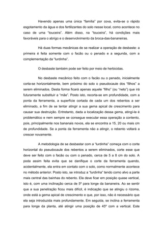 Havendo apenas uma única “família” por cova, evita-se o rápido
esgotamento da água e dos fertilizantes do solo nesse local, como acontece no
caso de uma “touceira”. Além disso, na “touceira”, há condições mais
favoráveis para o abrigo e o desenvolvimento da broca-das-bananeiras.
Há duas formas mecânicas de se realizar a operação de desbaste: a
primeira é feita somente com o facão ou o penado e a segunda, com a
complementação da “lurdinha”.
O desbaste também pode ser feito por meio de herbicidas.
No desbaste mecânico feito com o facão ou o penado, inicialmente
corta-se horizontalmente, bem próximo do solo o pseudocaule dos “filhos” a
serem eliminados. Desta forma ficará apenas aquele “filho” (ou “neto”) que irá
futuramente substituir a “mãe”. Posto isto, recorta-se em profundidade, com a
ponta da ferramenta, a superfície cortada de cada um dos rebentos a ser
eliminado, a fim de se tentar atingir a sua gema apical de crescimento para
causar sua destruição. Entretanto, dada a localização dessa gema, atingí-la é
problemático e nem sempre se consegue executar essa operação a contento,
pois, principalmente nos bananais novos, ela se encontra a 15, 20 ou mais cm
de profundidade. Se a ponta da ferramenta não a atingir, o rebento voltará a
crescer novamente.
A metodologia de se desbastar com a “lurdinha” começa com o corte
horizontal do pseudocaule dos rebentos a serem eliminados, corte esse que
deve ser feito com o facão ou com o penado, cerca de 5 a 8 cm do solo. A
poda assim feita evita que se danifique o corte da ferramenta quando,
acidentalmente, ela entra em contato com o solo, como normalmente acontece
no método anterior. Posto isto, se introduz a “lurdinha” tendo como alvo a parte
mais central das bainhas do rebento. Ela deve ficar em posição quase vertical,
isto é, com uma inclinação cerca de 5º para longe da bananeira. Ao se sentir
que a sua penetração ficou mais difícil, é indicação que se atingiu o rizoma,
onde está a gema apical de crescimento e que, por isso, não é necessário que
ela seja introduzida mais profundamente. Em seguida, se inclina a ferramenta
para longe da planta, até atingir uma posição de 45º com a vertical. Este
 