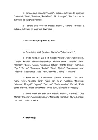 d - Banana para compota: “Nanica” e todos os cultivares do subgrupo
Cavendish, “Ouro”, “Pacovan”, “Prata Zulú”, “São Domingos”, “Terra” e todos os
cultivares do subgrupo Plantain.
e - Banana para doce em massa: “Branca”, “Enxerto”, “Nanica” e
todos os cultivares do subgrupo Cavendish.
3.3 - Classificação quanto ao porte
a - Porte baixo, até 2,0 metros: “Nanica” e “Salta-do-cacho”.
b - Porte médio, de 2,0 a 3,5 metros: “Angola”, “Baé”, “Bout-round”,
“Congo”, “Enxerto”, todo o subgrupo Figo, “Grande Naine”, “Jangada”, “Java”,
“Johnson”, “Leite”, “Maçã”, “Maranhão caturra”, “Monte Cristo”, “Nanicão”,
“Ouro”, “Pacova”, “Pacovaçu”, “Padath”, “Piruá”, “Platina”, “Pseudocaule roxo”,
“Robusta”, “São Mateus”, “São Tomé”, “Terrinha”, “Valery” e “Williams”.
c - Porte alto, de 3,5 a 6 metros: “Canela”, “Carnaval”, “Caru roxa”,
“Caru verde”, “Colatina ouro”, “Giant fig”, “IC-2”, “Lacatan”, “Nóbrega”,
“Miomba”, “Mongolô”, “Mysore”, “Ouro mel”, “Pachá naadan”, “Pacoví”, “Prata
ponta aparada”, “Prata Santa Maria”, “Prata Zulú”, “Samburá” e “Viropaxy”.
d - Porte muito alto, mais de 6 metros: “Branca”, “Caturrão”, “Gros
Michel”, “Imperial”, “Maranhão branca”, “Maranhão vermelha”, “Ouro da mata”,
“Pacovan”, “Prata” e “Terra”.
4 – Morfologia
 