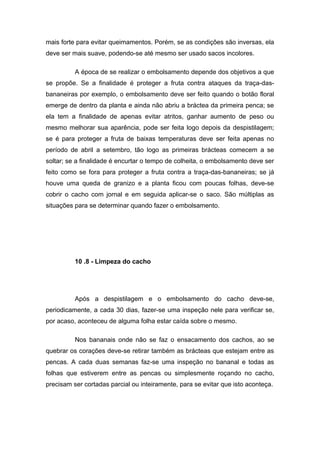mais forte para evitar queimamentos. Porém, se as condições são inversas, ela
deve ser mais suave, podendo-se até mesmo ser usado sacos incolores.
A época de se realizar o embolsamento depende dos objetivos a que
se propõe. Se a finalidade é proteger a fruta contra ataques da traça-das-
bananeiras por exemplo, o embolsamento deve ser feito quando o botão floral
emerge de dentro da planta e ainda não abriu a bráctea da primeira penca; se
ela tem a finalidade de apenas evitar atritos, ganhar aumento de peso ou
mesmo melhorar sua aparência, pode ser feita logo depois da despistilagem;
se é para proteger a fruta de baixas temperaturas deve ser feita apenas no
período de abril a setembro, tão logo as primeiras brácteas comecem a se
soltar; se a finalidade é encurtar o tempo de colheita, o embolsamento deve ser
feito como se fora para proteger a fruta contra a traça-das-bananeiras; se já
houve uma queda de granizo e a planta ficou com poucas folhas, deve-se
cobrir o cacho com jornal e em seguida aplicar-se o saco. São múltiplas as
situações para se determinar quando fazer o embolsamento.
10 .8 - Limpeza do cacho
Após a despistilagem e o embolsamento do cacho deve-se,
periodicamente, a cada 30 dias, fazer-se uma inspeção nele para verificar se,
por acaso, aconteceu de alguma folha estar caída sobre o mesmo.
Nos bananais onde não se faz o ensacamento dos cachos, ao se
quebrar os corações deve-se retirar também as brácteas que estejam entre as
pencas. A cada duas semanas faz-se uma inspeção no bananal e todas as
folhas que estiverem entre as pencas ou simplesmente roçando no cacho,
precisam ser cortadas parcial ou inteiramente, para se evitar que isto aconteça.
 