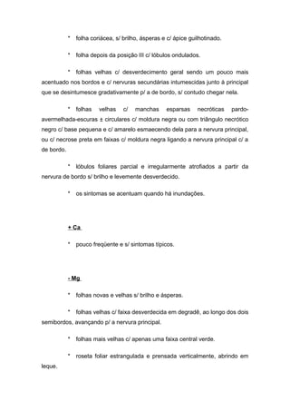 * folha coriácea, s/ brilho, ásperas e c/ ápice guilhotinado.
* folha depois da posição III c/ lóbulos ondulados.
* folhas velhas c/ desverdecimento geral sendo um pouco mais
acentuado nos bordos e c/ nervuras secundárias intumescidas junto à principal
que se desintumesce gradativamente p/ a de bordo, s/ contudo chegar nela.
* folhas velhas c/ manchas esparsas necróticas pardo-
avermelhada-escuras ± circulares c/ moldura negra ou com triângulo necrótico
negro c/ base pequena e c/ amarelo esmaecendo dela para a nervura principal,
ou c/ necrose preta em faixas c/ moldura negra ligando a nervura principal c/ a
de bordo.
* lóbulos foliares parcial e irregularmente atrofiados a partir da
nervura de bordo s/ brilho e levemente desverdecido.
* os sintomas se acentuam quando há inundações.
+ Ca
* pouco freqüente e s/ sintomas típicos.
- Mg
* folhas novas e velhas s/ brilho e ásperas.
* folhas velhas c/ faixa desverdecida em degradê, ao longo dos dois
semibordos, avançando p/ a nervura principal.
* folhas mais velhas c/ apenas uma faixa central verde.
* roseta foliar estrangulada e prensada verticalmente, abrindo em
leque.
 