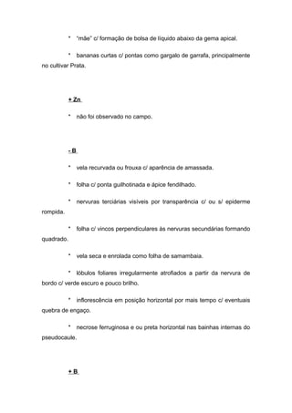 * “mãe” c/ formação de bolsa de líquido abaixo da gema apical.
* bananas curtas c/ pontas como gargalo de garrafa, principalmente
no cultivar Prata.
+ Zn
* não foi observado no campo.
- B
* vela recurvada ou frouxa c/ aparência de amassada.
* folha c/ ponta guilhotinada e ápice fendilhado.
* nervuras terciárias visíveis por transparência c/ ou s/ epiderme
rompida.
* folha c/ vincos perpendiculares às nervuras secundárias formando
quadrado.
* vela seca e enrolada como folha de samambaia.
* lóbulos foliares irregularmente atrofiados a partir da nervura de
bordo c/ verde escuro e pouco brilho.
* inflorescência em posição horizontal por mais tempo c/ eventuais
quebra de engaço.
* necrose ferruginosa e ou preta horizontal nas bainhas internas do
pseudocaule.
+ B
 