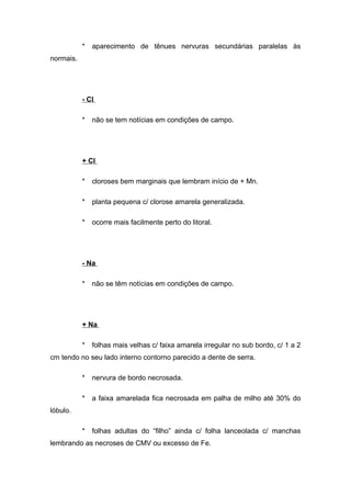 * aparecimento de tênues nervuras secundárias paralelas às
normais.
- Cl
* não se tem notícias em condições de campo.
+ Cl
* cloroses bem marginais que lembram início de + Mn.
* planta pequena c/ clorose amarela generalizada.
* ocorre mais facilmente perto do litoral.
- Na
* não se têm notícias em condições de campo.
+ Na
* folhas mais velhas c/ faixa amarela irregular no sub bordo, c/ 1 a 2
cm tendo no seu lado interno contorno parecido a dente de serra.
* nervura de bordo necrosada.
* a faixa amarelada fica necrosada em palha de milho até 30% do
lóbulo.
* folhas adultas do “filho” ainda c/ folha lanceolada c/ manchas
lembrando as necroses de CMV ou excesso de Fe.
 