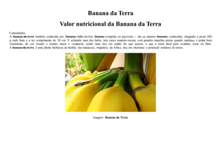 Banana da Terra
Valor nutricional da Banana da Terra
Curiosidades:
A banana-da-terra também conhecida por (banana-chifre-de-boi, banana-comprida ou pacovan) – são as maiores bananas conhecidas, chegando a pesar 500
g cada fruta e a ter comprimento de 30 cm. É achatada num dos lados, tem casca amarelo-escura, com grandes manchas pretas quando maduras, e polpa bem
consistente, de cor rosada e textura macia e compacta, sendo mais rica em amido do que açúcar, o que a torna ideal para cozinhar, assar ou fritar.
A banana-da-terra é uma planta herbácea da família das musáceas, originária da África, rica em vitaminas e potencial redutora do stress.
Imagem: Banana da Terra