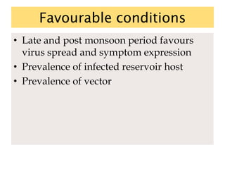 Favourable conditions
• Late and post monsoon period favours
virus spread and symptom expression
• Prevalence of infected reservoir host
• Prevalence of vector
 