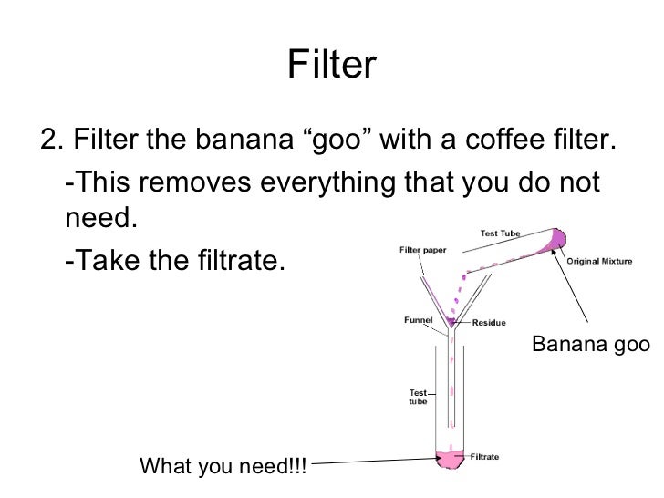 😎 Banana dna extraction lab report answers. DNA Extraction from Banana