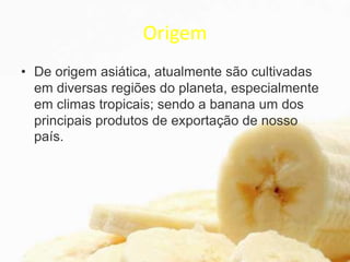 Origem
• De origem asiática, atualmente são cultivadas
em diversas regiões do planeta, especialmente
em climas tropicais; sendo a banana um dos
principais produtos de exportação de nosso
país.
 