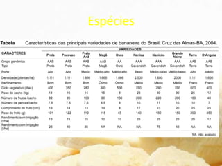 Espécies
 