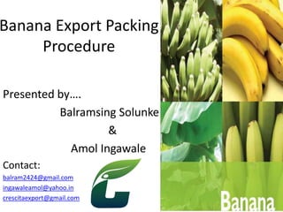 Banana Export Packing
Procedure
Presented by….
Balramsing Solunke
&
Amol Ingawale
Contact:
balram2424@gmail.com
ingawaleamol@yahoo.in
crescitaexport@gmail.com
 