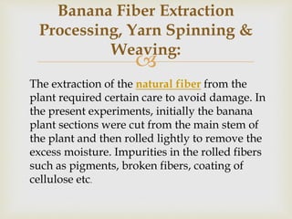 
Banana Fiber Extraction
Processing, Yarn Spinning &
Weaving:
The extraction of the natural fiber from the
plant required certain care to avoid damage. In
the present experiments, initially the banana
plant sections were cut from the main stem of
the plant and then rolled lightly to remove the
excess moisture. Impurities in the rolled fibers
such as pigments, broken fibers, coating of
cellulose etc.
 