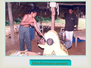 Fibre Extraction process
 