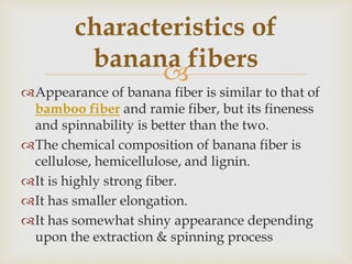 
Appearance of banana fiber is similar to that of
bamboo fiber and ramie fiber, but its fineness
and spinnability is better than the two.
The chemical composition of banana fiber is
cellulose, hemicellulose, and lignin.
It is highly strong fiber.
It has smaller elongation.
It has somewhat shiny appearance depending
upon the extraction & spinning process
characteristics of
banana fibers
 