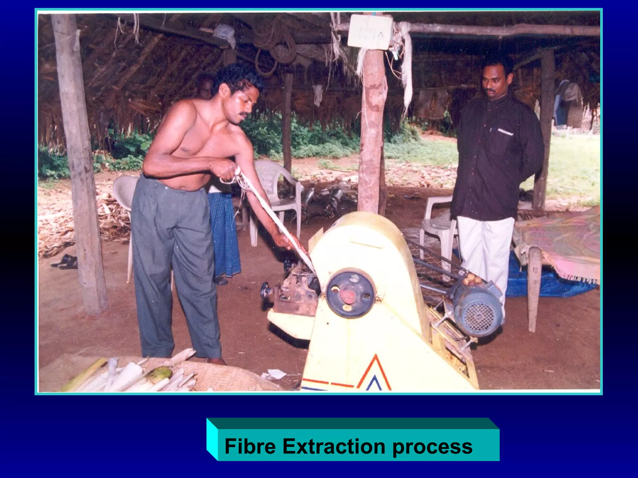 Fibre Extraction process
 