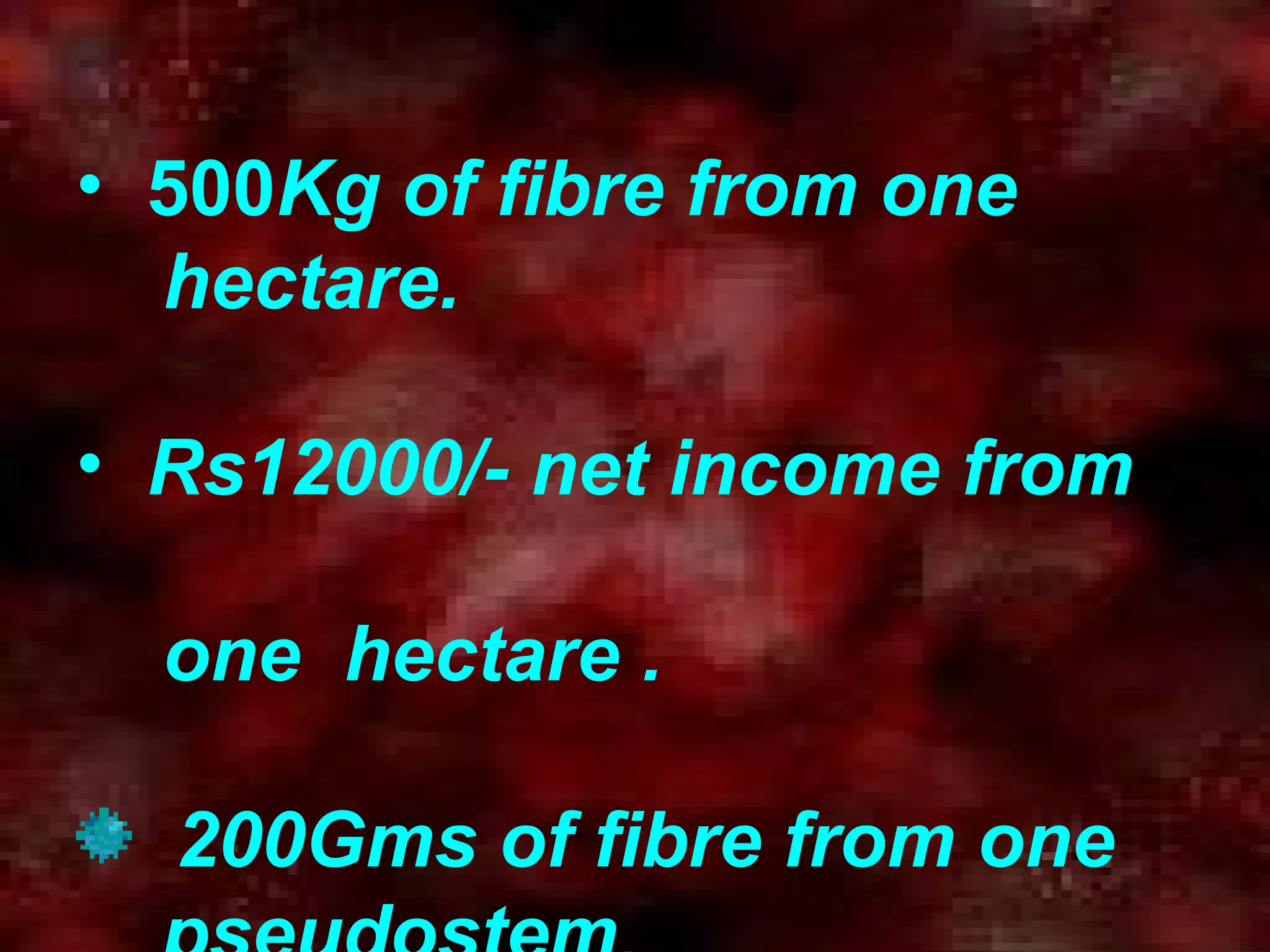 • 500Kg of fibre from one
hectare.
• Rs12000/- net income from
one hectare .
200Gms of fibre from one
 