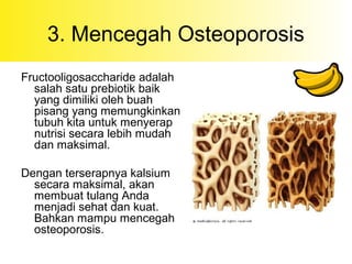 3. Mencegah Osteoporosis
Fructooligosaccharide adalah
salah satu prebiotik baik
yang dimiliki oleh buah
pisang yang memungkinkan
tubuh kita untuk menyerap
nutrisi secara lebih mudah
dan maksimal.
Dengan terserapnya kalsium
secara maksimal, akan
membuat tulang Anda
menjadi sehat dan kuat.
Bahkan mampu mencegah
osteoporosis.
 