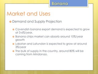 Market and Uses
 Demand and Supply Projection
 Cavendish banana export demand is expected to grow
at 3-6%/year.
 Banana chips market can absorb around 10%/year
growth
 Lakatan and Latundan is expected to grow at around
3%/year
 The bulk of supply in the country, around 80% will be
coming from Mindanao.
 