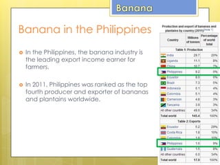  In the Philippines, the banana industry is
the leading export income earner for
farmers.
 In 2011, Philippines was ranked as the top
fourth producer and exporter of bananas
and plantains worldwide.
Banana in the Philippines
 