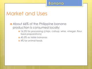  About 66% of the Philippine banana
production is consumed locally:
 16.5% for processing (chips, catsup, wine, vinegar, flour,
feed preparations)
 45.5% as table bananas
 4% for animal feeds
Market and Uses
 