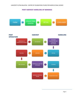 UNIVERSITI PUTRA MALAYSIA - CENTRE OF FOUNDATION STUDIES FOR AGRICULTURAL SCIENCE
Page 9
POST HARVEST HANDLING OF BANANAS
POST HARVEST HANDLING
OPERATION
 