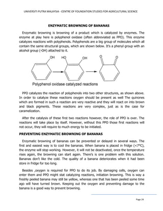 UNIVERSITI PUTRA MALAYSIA - CENTRE OF FOUNDATION STUDIES FOR AGRICULTURAL SCIENCE
Page 24
ENZYMATIC BROWNING OF BANANAS
Enzymatic browning is browning of a product which is catalyzed by enzymes. The
enzyme at play here is polyphenol oxidase (often abbreviated as PPO). This enzyme
catalyzes reactions with polyphenols. Polyphenols are a big group of molecules which all
contain the same structural groups, which are shown below. It’s a phenyl group with an
alcohol group (-OH) attached to it.
PPO catalyzes the reaction of polyphenols into two other structures, as shown above.
In order to catalyze these reactions oxygen should be present as well The quinones
which are formed in such a reaction are very reactive and they will react on into brown
and black pigments. These reactions are very complex, just as is the case for
caramelization.
After the catalysis of these first two reactions however, the role of PPO is over. The
reactions will take place by itself. However, without this PPO those first reactions will
not occur, they will require to much energy to be initiated.
PREVENTING ENZYMATIC BROWNING OF BANANAS
Enzymatic browning of bananas can be prevented or delayed in several ways. The
first and easiest way is to cool the bananas. When banana is placed in fridge (<7°C),
the enzyme will stop working. However, it will not be deactivated, once the temperature
rises again, the browning can start again. There’s is one problem with this solution.
Bananas don’t like the cold. The quality of a banana deteriorates when it had been
store in fridge for too long.
Besides ,oxygen is required for PPO to do its job. By damaging cells, oxygen can
enter them and PPO might stat catalyzing reactions, initiation browning. This is way a
freshly peeled banana may still be yellow, whereas one that has been peeled some time
ago will have turned brown. Keeping out the oxygen and preventing damage to the
banana is a good way to prevent browning.
 