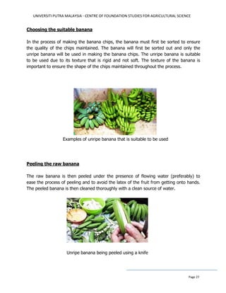 UNIVERSITI PUTRA MALAYSIA - CENTRE OF FOUNDATION STUDIES FOR AGRICULTURAL SCIENCE
Page 27
Choosing the suitable banana
In the process of making the banana chips, the banana must first be sorted to ensure
the quality of the chips maintained. The banana will first be sorted out and only the
unripe banana will be used in making the banana chips. The unripe banana is suitable
to be used due to its texture that is rigid and not soft. The texture of the banana is
important to ensure the shape of the chips maintained throughout the process.
Examples of unripe banana that is suitable to be used
Peeling the raw banana
The raw banana is then peeled under the presence of flowing water (preferably) to
ease the process of peeling and to avoid the latex of the fruit from getting onto hands.
The peeled banana is then cleaned thoroughly with a clean source of water.
Unripe banana being peeled using a knife
 