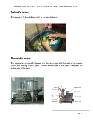 UNIVERSITI PUTRA MALAYSIA - CENTRE OF FOUNDATION STUDIES FOR AGRICULTURAL SCIENCE
Page 31
Peeling the banana
The banana is first peeled and wash to remove stickiness.
Chopping the banana
The banana is mechanically chopped and then processed with hydraulic shear using a
colloid mill, turning it into a paste. Sodium metabisulfite is then used to brighten the
yellow color of the paste.
 
