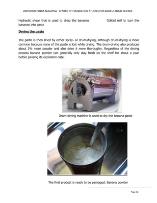 UNIVERSITI PUTRA MALAYSIA - CENTRE OF FOUNDATION STUDIES FOR AGRICULTURAL SCIENCE
Page 32
Hydraulic shear that is used to chop the bananas Colloid mill to turn the
bananas into paste
Drying the paste
The paste is then dried by either spray- or drum-drying, although drum-drying is more
common because none of the paste is lost while drying. The drum-drying also produces
about 2% more powder and also dries it more thoroughly. Regardless of the drying
process banana powder can generally only stay fresh on the shelf for about a year
before passing its expiration date.
Drum-drying machine is used to dry the banana paste
The final product is ready to be packaged. Banana powder
 