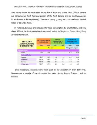 UNIVERSITI PUTRA MALAYSIA - CENTRE OF FOUNDATION STUDIES FOR AGRICULTURAL SCIENCE
Page 35
Abu, Pisang Nipah, Pisang Rastali, Pisang Masak Hijau and others. Most of local banana
are consumed as fresh fruit and portion of the fresh banana are for fried banana (or
locally known as Pisang Goreng). The warm pisang goreng are consumed with 'sambal
kicap' or as whole fruits.
In Malaysia, bananas are cultivated for local consumption by smallholders, and only
about 12% of the total production is exported, mainly to Singapore, Brunei, Hong Kong
and the Middle East.
Since hereditary, bananas have been used by our ancestors in their daily lives.
Bananas are a variety of uses it covers the roots, stems, leaves, flowers, fruit or
banana.
 