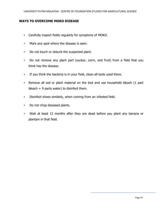 UNIVERSITI PUTRA MALAYSIA - CENTRE OF FOUNDATION STUDIES FOR AGRICULTURAL SCIENCE
Page 47
WAYS TO OVERCOME MOKO DISEASE
• Carefully inspect fields regularly for symptoms of MOKO.
• Mark any spot where the disease is seen.
• Do not touch or disturb the suspected plant.
• Do not remove any plant part (sucker, corm, and fruit) from a field that you
think has the disease.
• If you think the bacteria is in your field, clean all tools used there.
• Remove all soil or plant material on the tool and use household bleach (1 part
bleach + 9 parts water) to disinfect them.
• Disinfect shoes similarly, when coming from an infested field.
• Do not chop diseased plants.
• Wait at least 12 months after they are dead before you plant any banana or
plantain in that field.
 
