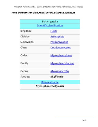 UNIVERSITI PUTRA MALAYSIA - CENTRE OF FOUNDATION STUDIES FOR AGRICULTURAL SCIENCE
Page 49
MORE INFORMATION ON BLACK SIGATOKA DISEASE BACTERIUM
 
