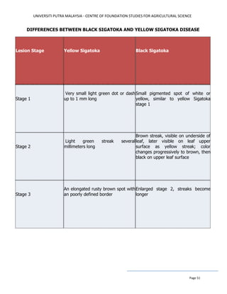 UNIVERSITI PUTRA MALAYSIA - CENTRE OF FOUNDATION STUDIES FOR AGRICULTURAL SCIENCE
Page 51
DIFFERENCES BETWEEN BLACK SIGATOKA AND YELLOW SIGATOKA DISEASE
Lesion Stage Yellow Sigatoka Black Sigatoka
Stage 1
Very small light green dot or dash
up to 1 mm long
Small pigmented spot of white or
yellow, similar to yellow Sigatoka
stage 1
Stage 2
Light green streak several
millimeters long
Brown streak, visible on underside of
leaf, later visible on leaf upper
surface as yellow streak; color
changes progressively to brown, then
black on upper leaf surface
Stage 3
An elongated rusty brown spot with
an poorly defined border
Enlarged stage 2, streaks become
longer
 