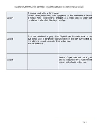 UNIVERSITI PUTRA MALAYSIA - CENTRE OF FOUNDATION STUDIES FOR AGRICULTURAL SCIENCE
Page 52
Stage 4
A mature spot with a dark brown
sunken centre; often surrounded by
a yellow halo, conidiophores and
conidia are produced at this stage
Appears on leaf underside as brown
spot, as a black spot on upper leaf
surface
Stage 5
Spot has developed a grey, dried
out centre and a peripheral black
ring which is evident even after the
leaf has dried out
Elliptical spot is totally black on the
underside of the leaf, surrounded by
a yellow halo
Stage 6
Centre of spot dries out, turns grey
and is surrounded by a well-defined
margin and a bright yellow halo
 