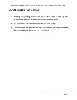 UNIVERSITI PUTRA MALAYSIA - CENTRE OF FOUNDATION STUDIES FOR AGRICULTURAL SCIENCE
Page 57
WAYS TO OVERCOME PANAMA DISEASE
• Obtaining new planting material from tissue culture plants or from reputable
sources where the plants or propagation material origin are known
• Not sharing farm machinery and equipment with other growers
• Decontaminating any plant or soil material from vehicles, machinery, equipment,
clothing and footwear prior to entry to their property.
 