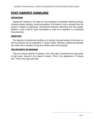 UNIVERSITI PUTRA MALAYSIA - CENTRE OF FOUNDATION STUDIES FOR AGRICULTURAL SCIENCE
Page 7
POST HARVEST HANDLING
DEFINITION
Postharvest handling is the stage of crop production immediately following harvest,
including cooling, cleaning, sorting and packing. The instant a crop is removed from the
ground, it begins to deteriorate. Post-harvest treatment determines the final quality,
whether a crop is sold for fresh consumption or used as an ingredient in a processed
food production.
OBJECTIVE
The objective of postharvest handling is to maintain the good quality of the grown so
that the produce can be competitive in various market .Moreover, postharvest handling
can reduce loss in quantity of crop and nutritive value of the produce.
THE MATURITY OF BANANAS
There are various maturity of bananas. First is the colour of bananas from dark green
to light green. Second is the shape of banana. Third is the appearance of “benang
sari” .Forth is the sugar acid ratio.
 