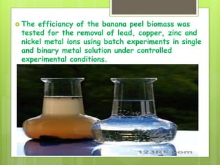  The efficiancy of the banana peel biomass was
tested for the removal of lead, copper, zinc and
nickel metal ions using batch experiments in single
and binary metal solution under controlled
experimental conditions.
 