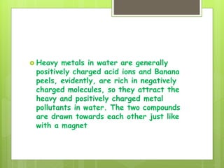  Heavy metals in water are generally
positively charged acid ions and Banana
peels, evidently, are rich in negatively
charged molecules, so they attract the
heavy and positively charged metal
pollutants in water. The two compounds
are drawn towards each other just like
with a magnet
 