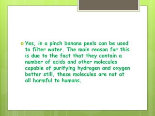  Yes, in a pinch banana peels can be used
to filter water. The main reason for this
is due to the fact that they contain a
number of acids and other molecules
capable of purifying hydrogen and oxygen
better still, these molecules are not at
all harmful to humans.
 
