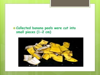  Collected banana peels were cut into
small pieces (1-2 cm)
 