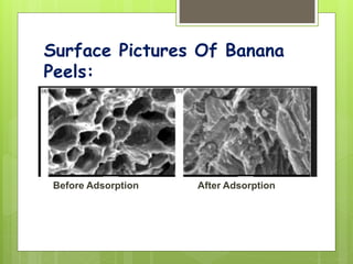 Surface Pictures Of Banana
Peels:
Before Adsorption After Adsorption
 