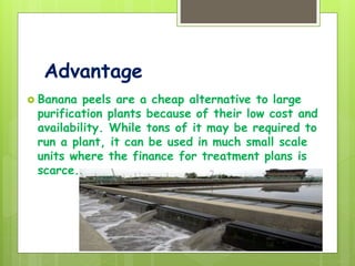 Advantage
 Banana peels are a cheap alternative to large
purification plants because of their low cost and
availability. While tons of it may be required to
run a plant, it can be used in much small scale
units where the finance for treatment plans is
scarce.
 