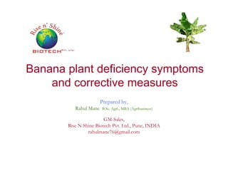 Banana plant deficiency symptoms
and corrective measuresand corrective measures
Prepared by,
Rahul Mane B.Sc. Agri., MBA (Agribusiness)
GM-Sales,
Rise N Shine Biotech Pvt. Ltd., Pune, INDIA
rahulmane76@gmail.com
 