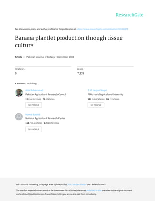See	discussions,	stats,	and	author	profiles	for	this	publication	at:	https://www.researchgate.net/publication/265229478
Banana	plantlet	production	through	tissue
culture
Article		in		Pakistan	Journal	of	Botany	·	September	2004
CITATIONS
9
READS
7,228
4	authors,	including:
Aish	Muhammad
Pakistan	Agricultural	Research	Council
12	PUBLICATIONS			70	CITATIONS			
SEE	PROFILE
S.M.	Saqlan	Naqvi
PMAS	-	Arid	Agriculture	University
122	PUBLICATIONS			904	CITATIONS			
SEE	PROFILE
Hamid	Rashid
National	Agricultural	Research	Center
168	PUBLICATIONS			1,391	CITATIONS			
SEE	PROFILE
All	content	following	this	page	was	uploaded	by	S.M.	Saqlan	Naqvi	on	13	March	2015.
The	user	has	requested	enhancement	of	the	downloaded	file.	All	in-text	references	underlined	in	blue	are	added	to	the	original	document
and	are	linked	to	publications	on	ResearchGate,	letting	you	access	and	read	them	immediately.
 