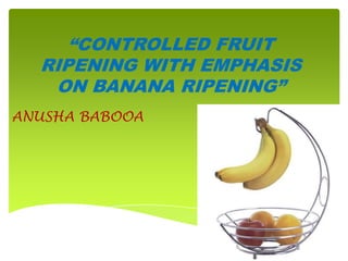 “CONTROLLED FRUIT
  RIPENING WITH EMPHASIS
   ON BANANA RIPENING”
ANUSHA BABOOA
 