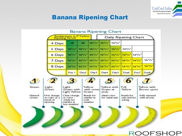 Banana Ripening Color Chart